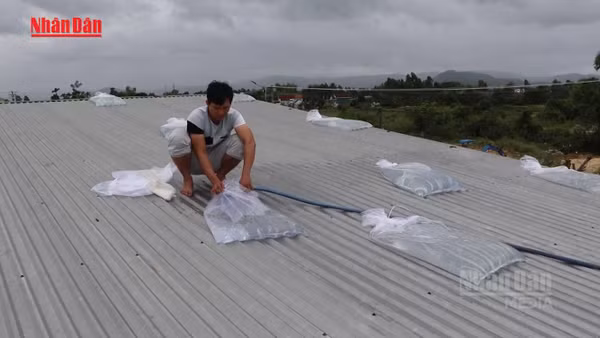 [Video] Nhiều cơn bão có thể ảnh hưởng đến đất liền Việt Nam tháng 7-12