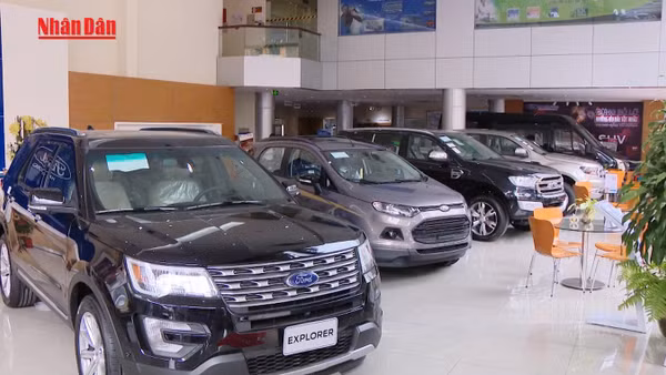 [Video] Các hãng xe đồng loạt công bố danh sách xe tương tích xăng E10