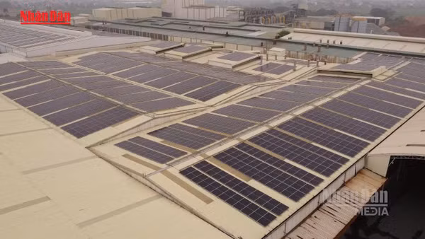 [Video] Miền Bắc đã có gần 300MW điện mặt trời mái nhà được lắp đặt