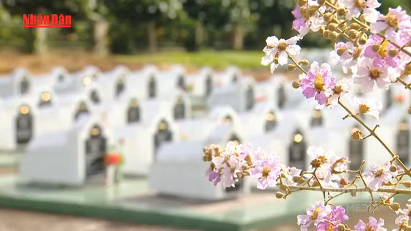 [Video] Thủ tướng yêu cầu đẩy mạnh tìm kiếm, quy tập và xác định danh tính hài cốt liệt sĩ