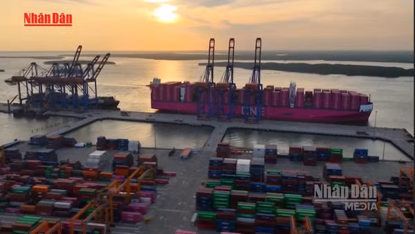 [Video] Cảng, bến thủy nội địa phải báo cáo đánh giá tác động môi trường