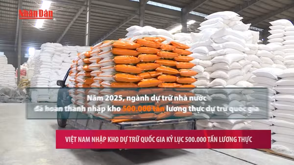 [Video] Việt Nam nhập kho dự trữ quốc gia kỷ lục 500.000 tấn lương thực
