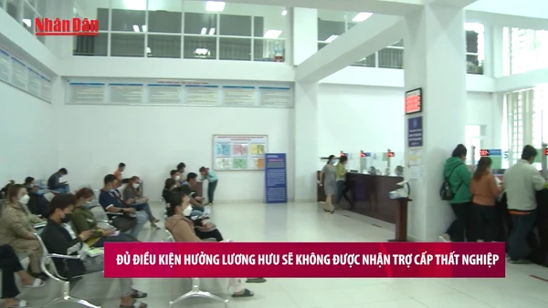 [Video] Đủ điều kiện hưởng lương hưu sẽ không được nhận trợ cấp thất nghiệp