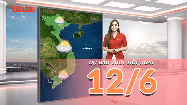 [Video] Dự báo thời tiết ngày 12/6/2026: Bắc Bộ tăng nhiệt trở lại, Nam Bộ mưa dông về chiều tối 