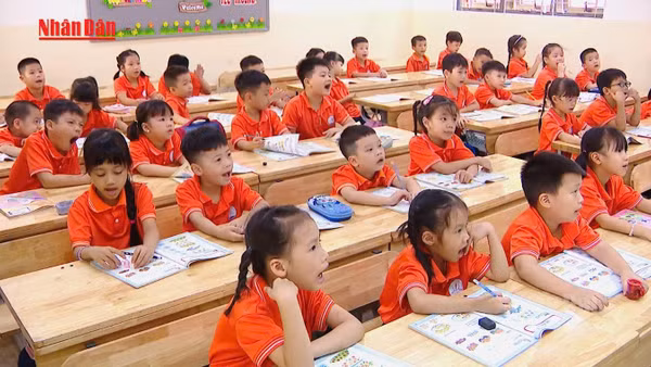 [Video] Cần hơn 4.000 tỷ đồng để miễn phí sách giáo khoa từ năm học 2029-2030