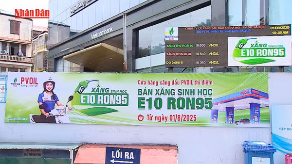 [Video] Giám sát, kiểm tra triển khai xăng sinh học E10