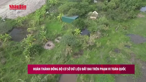 [Video] Hoàn thành đồng bộ cơ sở dữ liệu đất đai trên phạm vi toàn quốc