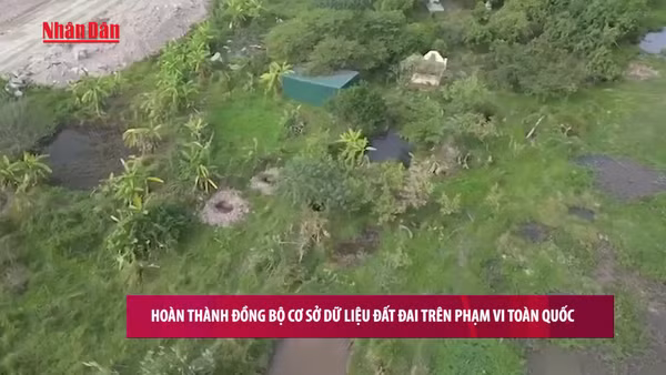 [Video] Hoàn thành đồng bộ cơ sở dữ liệu đất đai trên phạm vi toàn quốc