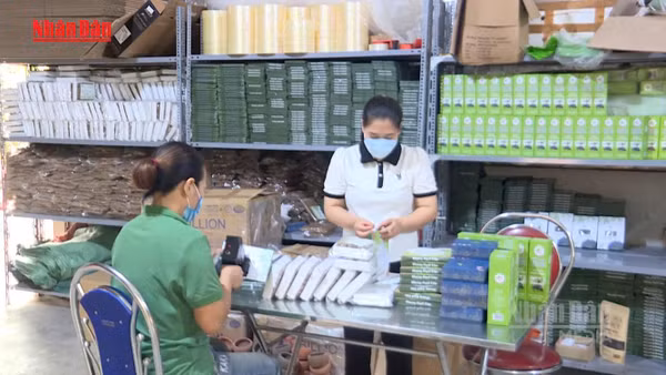  [Video] Từ 1/7, Doanh nghiệp siêu nhỏ được sử dụng người thân làm kế toán
