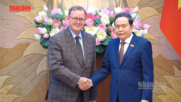 [Video] Việt Nam - Đức chia sẻ kinh nghiệm lập pháp, chuyển đổi số trong hoạt động nghị viện