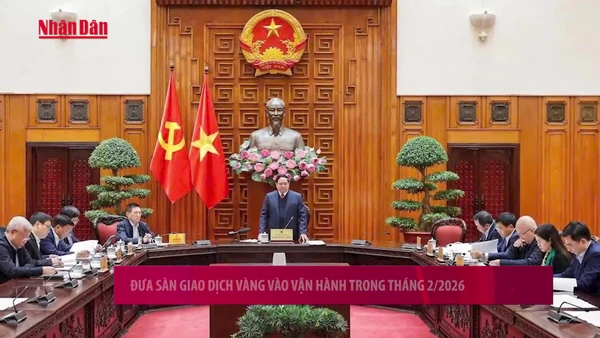 [Video] Đưa sàn giao dịch vàng vào vận hành trong tháng 2/2026