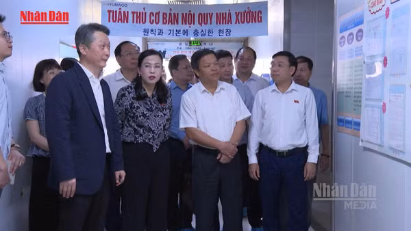 [Video] Khảo sát công tác bảo vệ môi trường Khu công nghiệp tại Phú Thọ