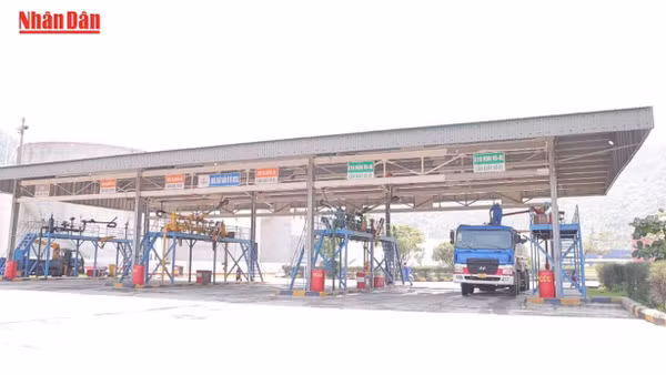 [Video] PVOIL sẽ bán xăng E10 trên toàn hệ thống từ ngày 15/5