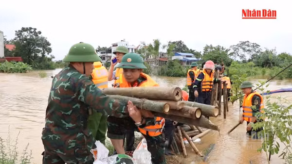 [Video] Rút kinh nghiệm từ lũ lịch sử 2024-2025 để bảo vệ an toàn đê điều