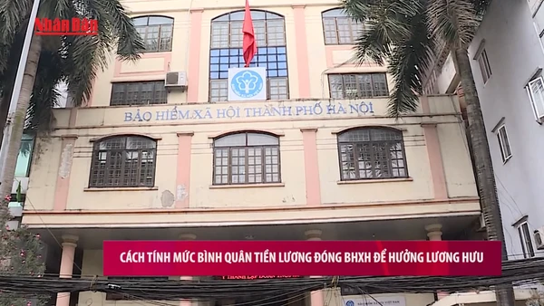 [Video] Cách tính mức bình quân tiền lương đóng BHXH để hưởng lương hưu
