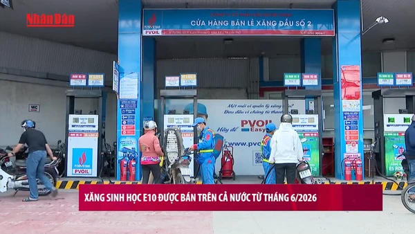 [Video] Xăng sinh học E10 được bán trên cả nước từ tháng 6/2026