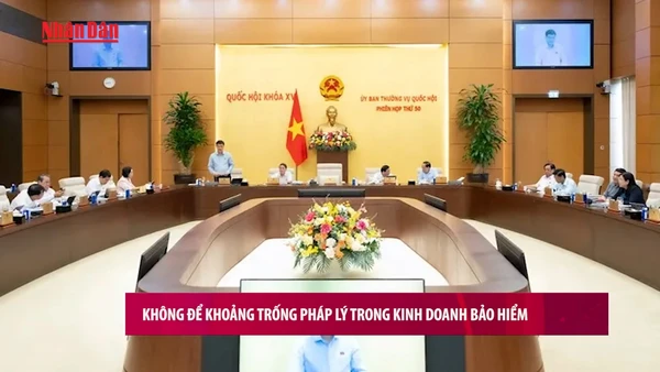 [Video] Không để khoảng trống pháp lý trong kinh doanh bảo hiểm