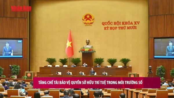 [Video] Tăng chế tài bảo vệ quyền sở hữu trí tuệ trong môi trường số 