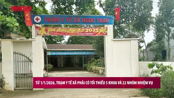 [Video] Từ 1/1/2026, trạm y tế xã phải có tối thiểu 5 khoa và 22 nhóm nhiệm vụ