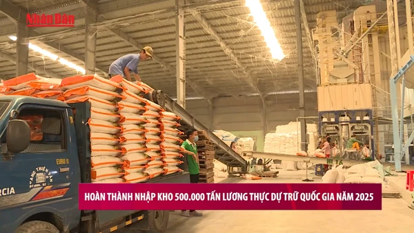 [Video] Hoàn thành nhập kho 500 nghìn tấn lương thực dự trữ quốc gia năm 2025