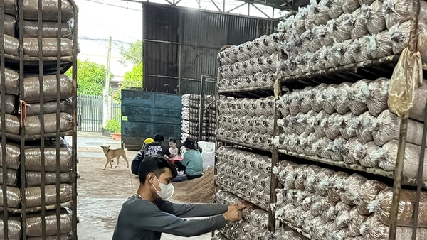 Việc chuẩn hóa thủ tục nhằm tránh gián đoạn quyền sở hữu và bảo đảm sản phẩm địa phương tiếp tục được sử dụng nhãn hiệu hợp pháp trong hoạt động sản xuất-kinh doanh.