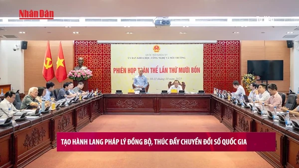 [Video] Tạo hành lang pháp lý đồng bộ, thúc đẩy chuyển đổi số quốc gia