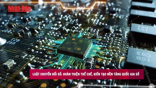 [Video] Luật Chuyển đổi số: Hoàn thiện thể chế, kiến tạo nền tảng quốc gia số
