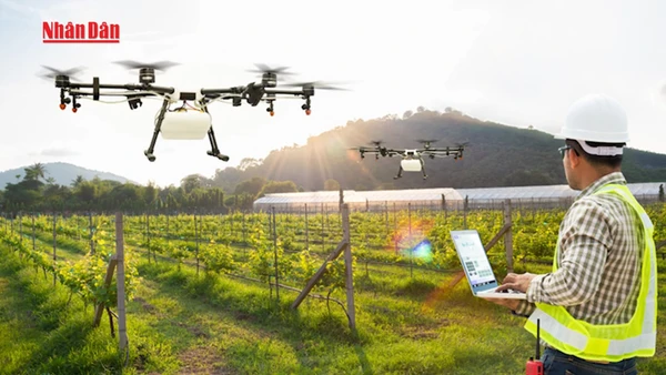 [Video] Việt Nam ưu tiên triển khai sớm ba sản phẩm công nghệ chiến lược