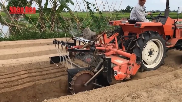 [Video] Đổi mới sáng tạo từ đồng ruộng đến thung lũng Silicon