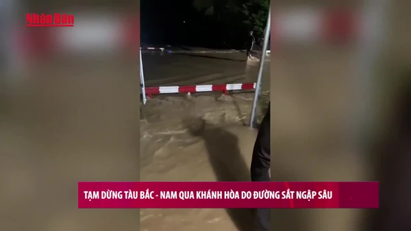 [Video] Tạm dừng tàu Bắc – Nam qua Khánh Hòa do đường sắt ngập sâu