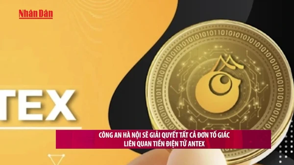 [Video] Công an Hà Nội sẽ giải quyết tất cả đơn tố giác liên quan tiền điện tử AntEx