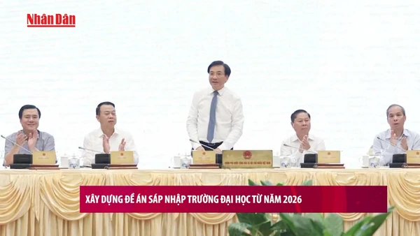 [Video] Xây dựng đề án sáp nhập trường đại học từ năm 2026
