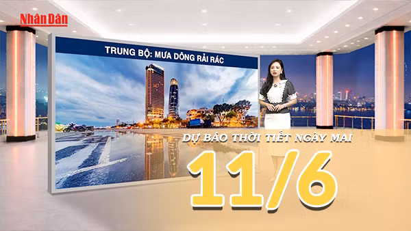 [Video] Dự báo thời tiết đêm nay và ngày mai ngày 11/6/2026: Bắc Bộ giảm mưa, Trung Bộ và Nam Bộ vẫn có mưa dông rải rác