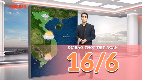 [Video] Dự báo thời tiết ngày 16/6/2026: Mưa lớn tại trung du và miền núi Bắc Bộ, Trung Bộ nắng giảm cường độ