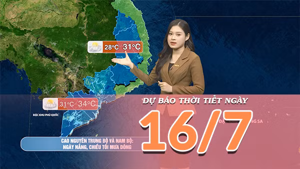 [Video] Dự báo thời tiết ngày 16/7/2026: Mưa dông gia tăng tại vùng núi Bắc Bộ 