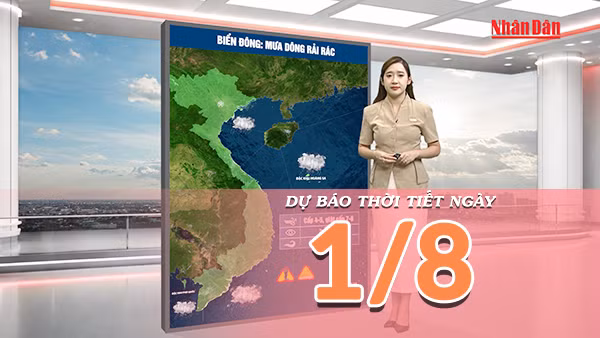 [Video] Dự báo thời tiết ngày 1/8/2026: Bắc Bộ còn mưa dông, Trung và Nam Bộ có nắng gián đoạn