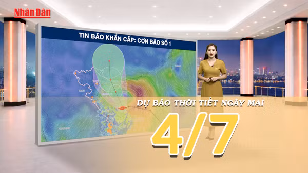 [Video] Dự báo thời tiết đêm nay và ngày mai ngày 4/7/2026: Hoàn lưu bão số 1 gây mưa lớn diện rộng và kéo dài nhiều ngày tại Bắc Bộ