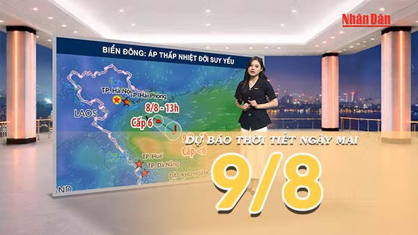 [Video] Dự báo thời tiết đêm nay và ngày mai ngày 9/8/2026: Áp thấp nhiệt đới suy yếu, Bắc Bộ đón nắng trở lại