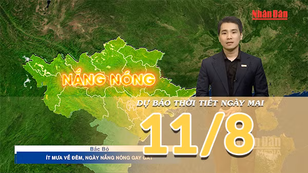 [Video] Dự báo thời tiết đêm nay và ngày mai ngày 11/8/2026: Bắc Bộ, Trung Bộ chuẩn bị bước vào đợt nắng nóng gay gắt