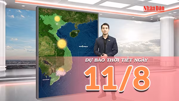 [Video] Dự báo thời tiết ngày 11/8/2026: Nắng nóng gay gắt bao trùm diện rộng tại Bắc Bộ và Trung Bộ, có nơi trên 38 độ