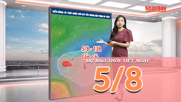 [Video] Dự báo thời tiết ngày 5/8/2026: Bắc Bộ mưa lớn kéo dài, Trung Bộ cục bộ có nơi mưa to 