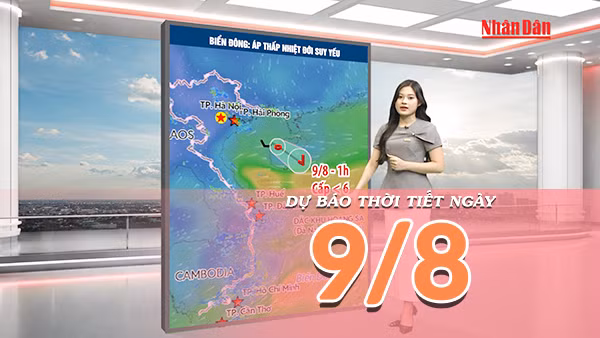 [Video] Dự báo thời tiết ngày 9/8/2026: Bắc Bộ nắng đẹp, miền Trung oi nóng
