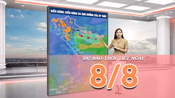 [Video] Dự báo thời tiết ngày 8/8/2026: Nắng trở lại tại Bắc Bộ, Trung Bộ duy trì mưa dông