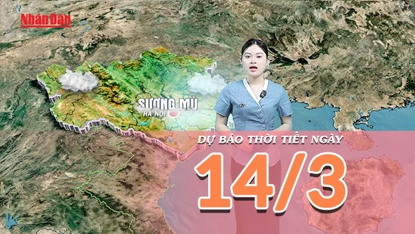 [Video] Dự báo thời tiết ngày 14/3/2026: Không khí ẩm bao phủ Bắc Bộ, Trung Bộ duy trì trạng thái mưa lạnh