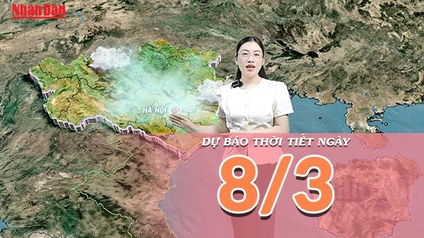 [Video] Dự báo thời tiết ngày 8/3/2026: Thời tiết cả nước thuận lợi cho các hoạt động vui chơi ngày Quốc tế Phụ nữ