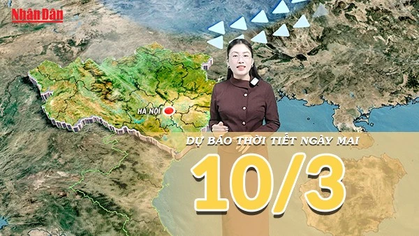 [Video] Dự báo thời tiết đêm nay và ngày mai 10/3/2026: Bắc Bộ mưa giảm nhưng nền nhiệt giảm sâu, Nam Bộ nắng ráo ổn định