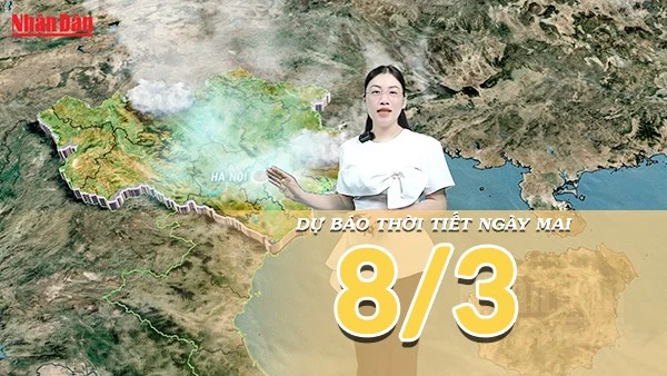 [Video] Dự báo thời tiết đêm nay và ngày mai 8/3/2026: Miền Bắc sương mù, cả nước ngày nắng nhẹ