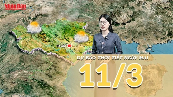 [Video] Dự báo thời tiết đêm nay và ngày mai 10/3/2026: Miền Bắc rét về đêm và sáng, miền Trung mưa giảm nhanh