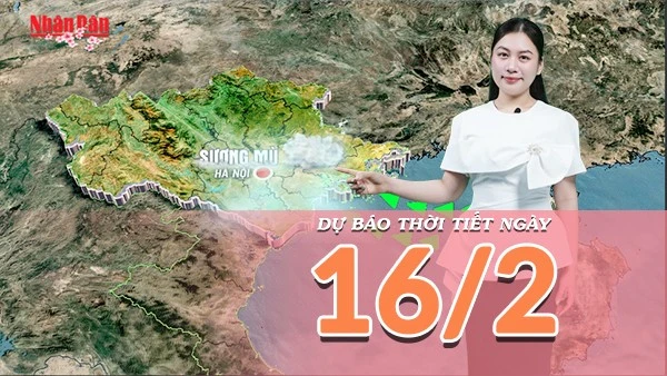[Video] Dự báo thời tiết đêm nay và ngày mai 16/2/2026: Mưa Xuân mùng 1 Tết