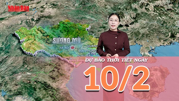 [Video] Dự báo thời tiết đêm nay và ngày mai 11/2/2026: Bắc Bộ mưa phùn và sương mù, Nam Bộ đón mưa trái mùa